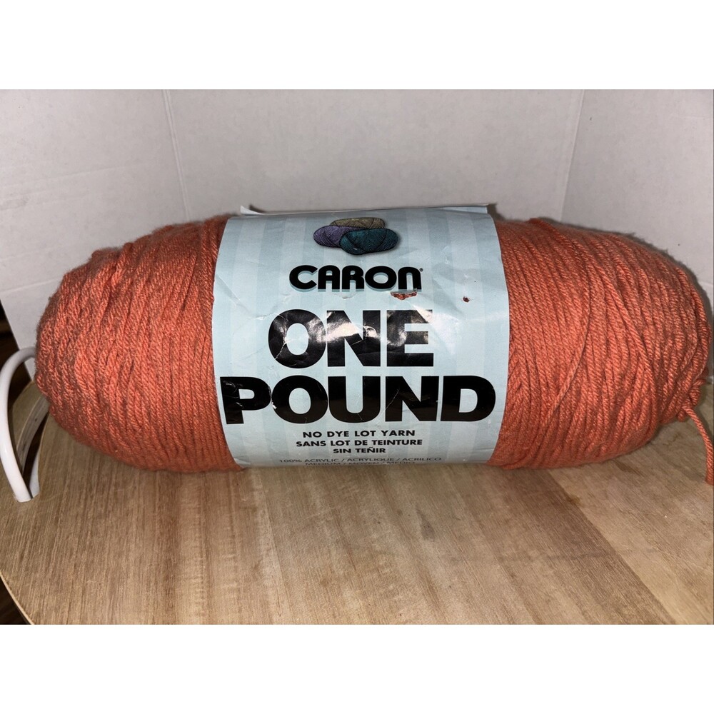 New Caron One Pound No Dye Acrylic Medium  Persimmon Peachy Orange Large Skein